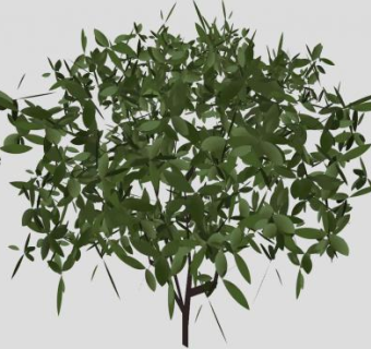 小型绿色灌木植物SU模型下载_sketchup草图大师SKP模型