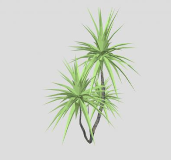 小型木本植物SU模型下载_sketchup草图大师SKP模型