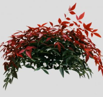 南天竹属灌木植物SU模型下载_sketchup草图大师SKP模型