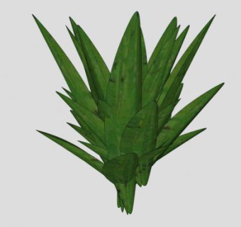 观赏观叶植株SU模型下载_sketchup草图大师SKP模型