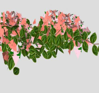 橘粉色开花灌木植物SU模型下载_sketchup草图大师SKP模型