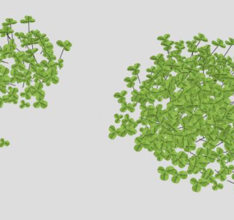 三叶草车轴草属植物SU模型下载_sketchup草图大师SKP模型