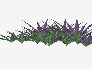 紫色观叶草本植物SU模型下载_sketchup草图大师SKP模型