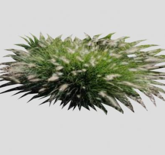 狗尾草植物SU模型下载_sketchup草图大师SKP模型