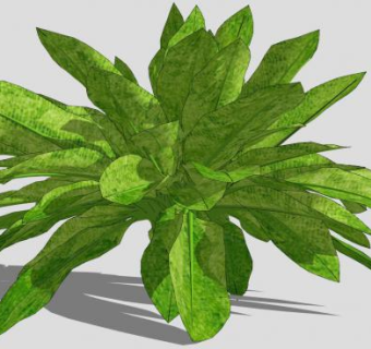 多年生观赏植物SU模型下载_sketchup草图大师SKP模型
