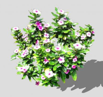开花植物灌木SU模型下载_sketchup草图大师SKP模型