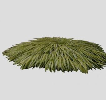 知风草属植物SU模型下载_sketchup草图大师SKP模型