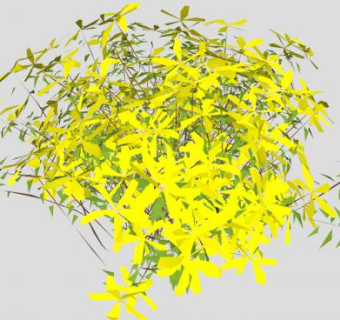 黄花花卉植物SU模型下载_sketchup草图大师SKP模型