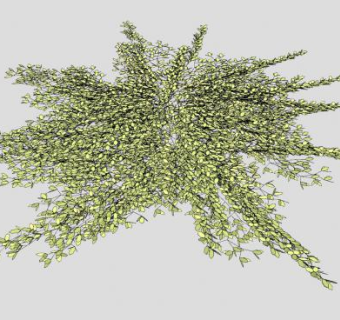 黄色地被植物SU模型下载_sketchup草图大师SKP模型