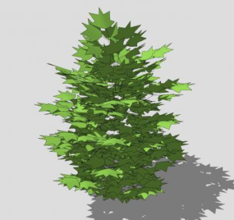 小型灌木植物SU模型下载_sketchup草图大师SKP模型