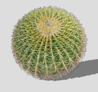 圆桶仙人掌SU模型下载_sketchup草图大师SKP模型