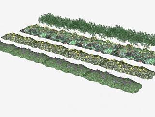 灌木和地<em>被</em>植物SU模型下载_sketchup草图大师SKP模型