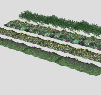 灌木和地被植物SU模型下载_sketchup草图大师SKP模型