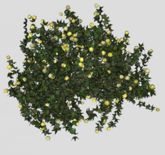 简易黄色开花灌木SU模型下载_sketchup草图大师SKP模型