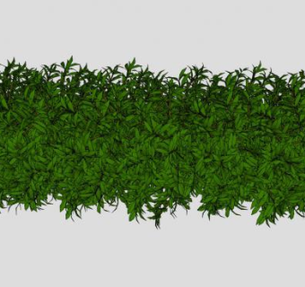 6株灌木植物SU模型下载_sketchup草图大师SKP模型