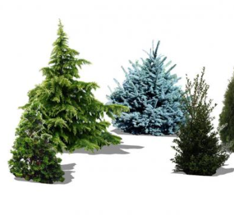 大型灌木植物系列SU模型下载_sketchup草图大师SKP模型