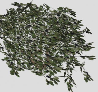 灌木球植物SU模型下载_sketchup草图大师SKP模型