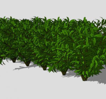 绿色灌木丛系列SU模型下载_sketchup草图大师SKP模型