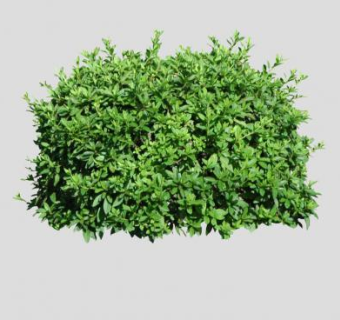 绿色灌木篱SU模型下载_sketchup草图大师SKP模型