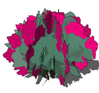 简易杜鹃花植物SU模型下载_sketchup草图大师SKP模型