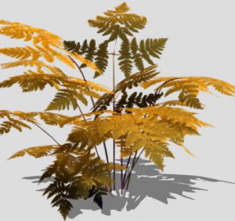 2D观赏蕨类植物SU模型下载_sketchup草图大师SKP模型