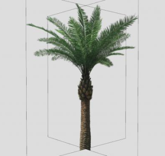 立体棕榈树植物SU模型下载_sketchup草图大师SKP模型