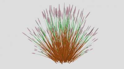 禾本科狼尾草SU模型下载_sketchup草图大师SKP模型