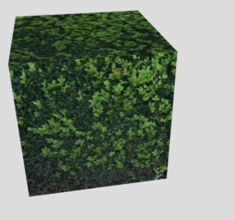 方形树篱植物SU模型下载_sketchup草图大师SKP模型