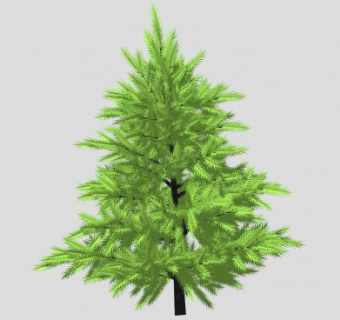 大型杉木植物SU模型下载_sketchup草图大师SKP模型