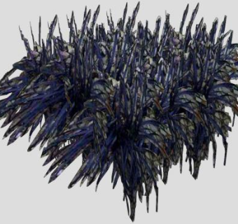 黑草植物SU模型下载_sketchup草图大师SKP模型