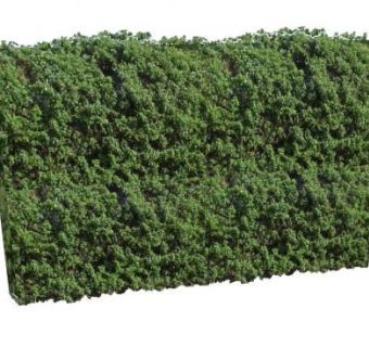 高大的灌木篱SU模型下载_sketchup草图大师SKP模型