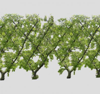 墙树树篱笆植物SU模型下载_sketchup草图大师SKP模型