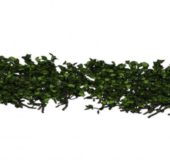 密集的木本植物SU模型下载_sketchup草图大师SKP模型