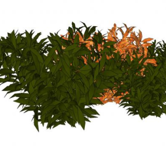观赏灌木植物系列SU模型下载_sketchup草图大师SKP模型