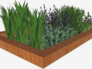花园的多株观赏植物SU模型下载_sketchup草图大师SKP模型