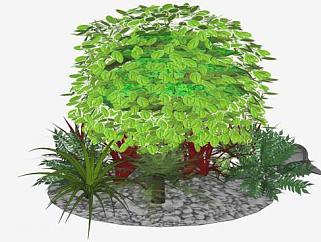 花园观赏<em>植物</em>系列SU模型下载_sketchup草图大师SKP模型