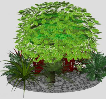 花园观赏植物系列SU模型下载_sketchup草图大师SKP模型
