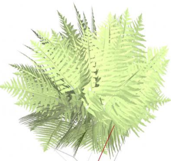 3D绿色蕨类植物SU模型下载_sketchup草图大师SKP模型