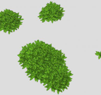 观叶灌木丛SU模型下载_sketchup草图大师SKP模型