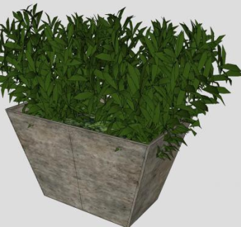 现代户外灌木盆栽SU模型下载_sketchup草图大师SKP模型