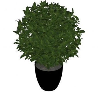 黑色盆栽灌木植物SU模型下载_sketchup草图大师SKP模型