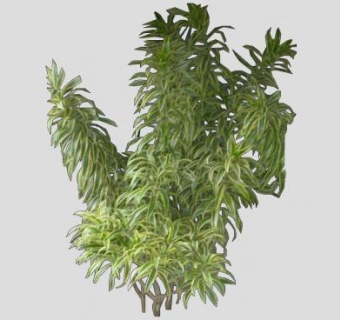 2D大型灌木植物SU模型下载_sketchup草图大师SKP模型