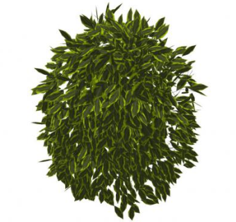 木本灌木丛SU模型下载_sketchup草图大师SKP模型