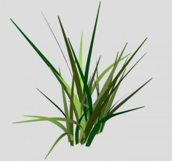 一簇3D草本植物SU模型下载_sketchup草图大师SKP模型