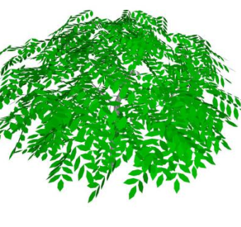 绣线菊属绿叶灌木植物SU模型下载_sketchup草图大师SKP模型