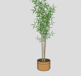 植物盆栽观赏木本SU模型下载_sketchup草图大师SKP模型