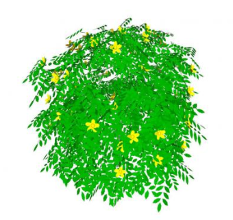 开黄花的绣线菊SU模型下载_sketchup草图大师SKP模型