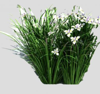 常绿草本开花植物SU模型下载_sketchup草图大师SKP模型