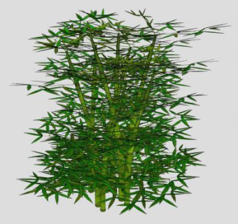 茂密的矮竹子SU模型下载_sketchup草图大师SKP模型