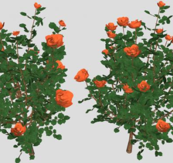 橙色玫瑰灌木植物SU模型下载_sketchup草图大师SKP模型